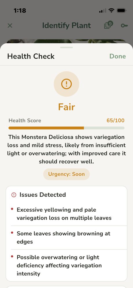 AI plant health check